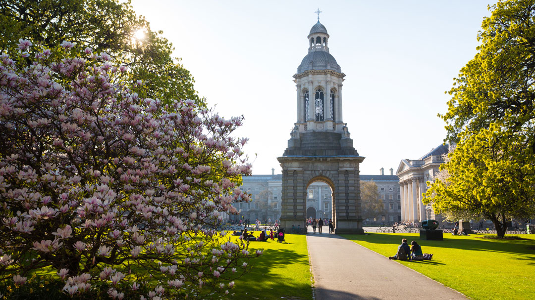 WMX-Europe-2019-Call-for-Papers